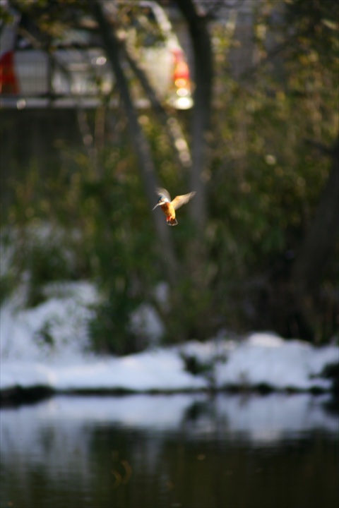 140209-153835-ZR0C4589_R