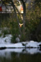 140209-153835-ZR0C4589_R