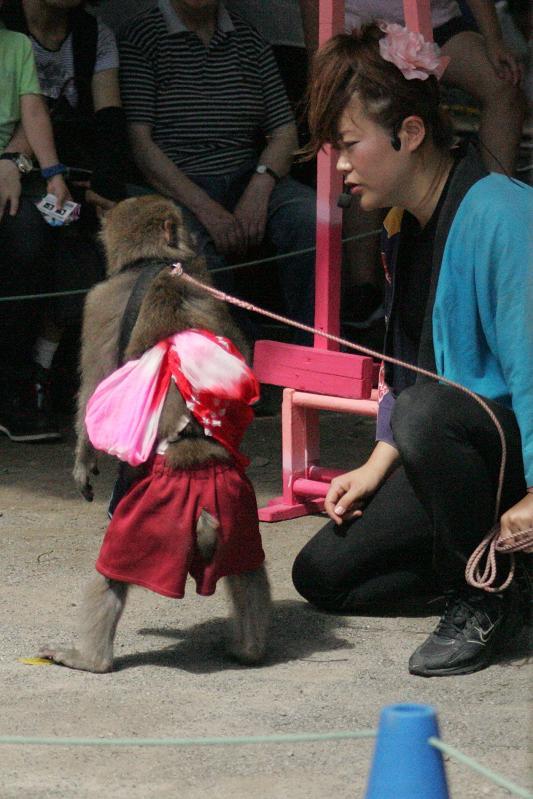 不忍池さるまわしGT0A8922