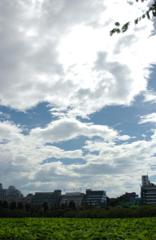 上野の空。DSC_4635