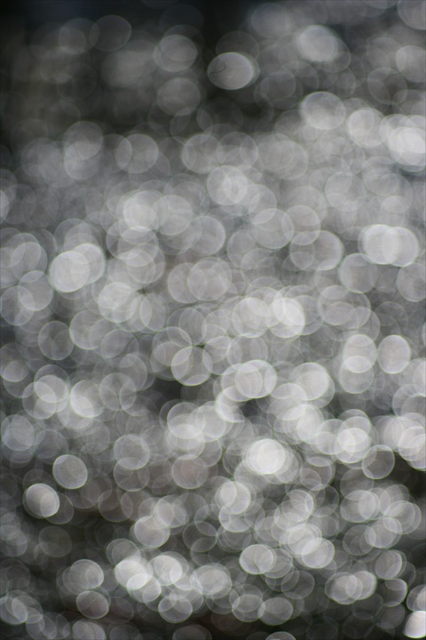 Ａｃａｌｌ　１８０ｍｍＦ３．５開放140222-142348-ZR0C4957_