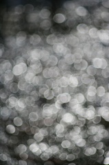 Ａｃａｌｌ　１８０ｍｍＦ３．５開放140222-142348-ZR0C4957_