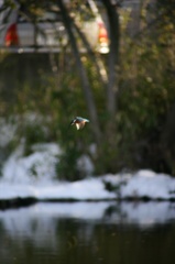 140209-153835-ZR0C4590_R