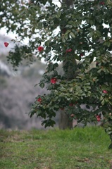 ２０１５年３月７日新木場150307-130101-IMG_1085_R