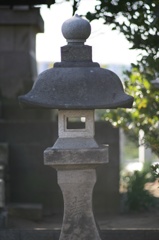 Ａｃａｌｌ　１８０ｍｍＦ３．５開放140222-141848-ZR0C4949_