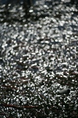 Ａｃａｌｌ　１８０ｍｍＦ３．５開放140222-142400-ZR0C4960_