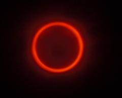 金冠日食P1090463_tr