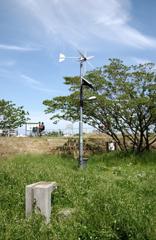 20120513プロペラDSC_0387