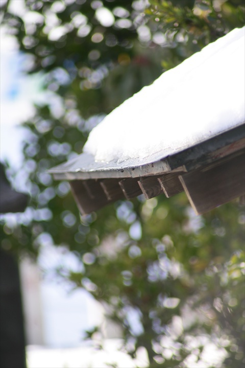 140209-143603-ZR0C4504_R