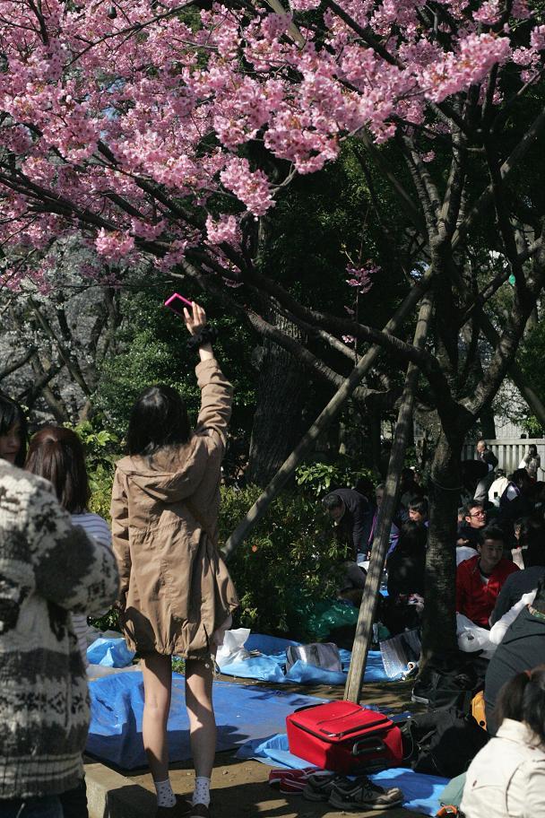 日曜日の上野公園＿さつえいひと
