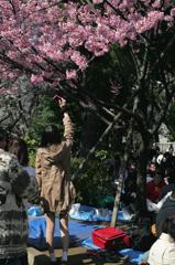 日曜日の上野公園＿さつえいひと