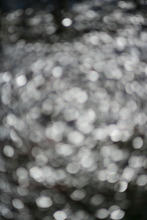 Ａｃａｌｌ　１８０ｍｍＦ３．５開放140222-142413-ZR0C4963_