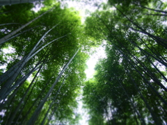 竹空