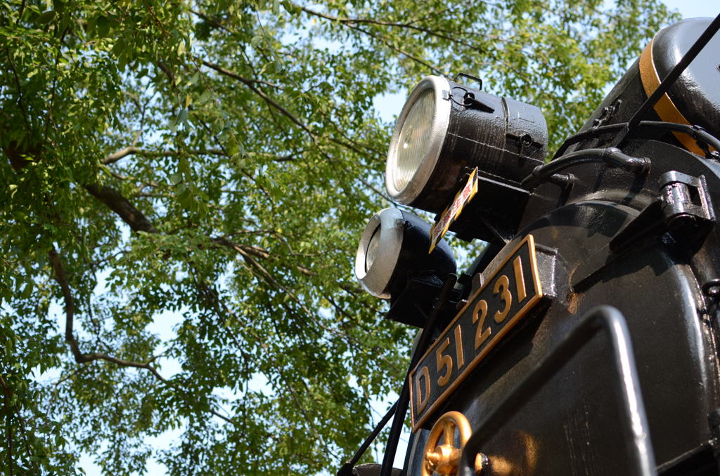 D51