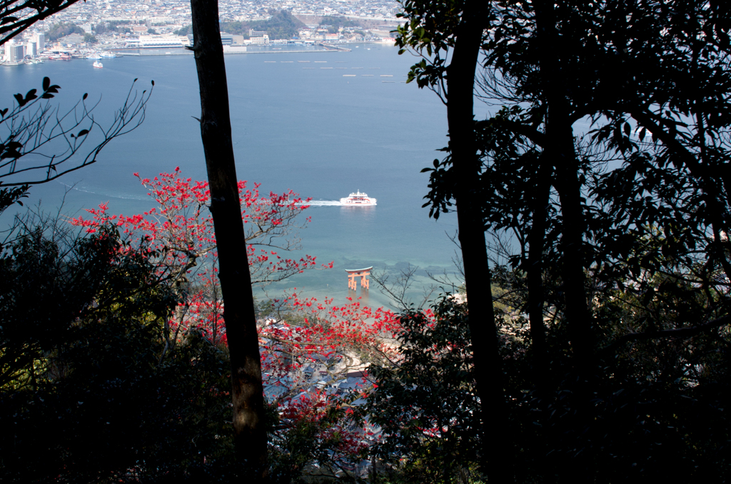 宮島の鳥居とフェリー