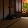 2012　徳源院の紅葉