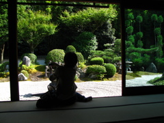 九山八海にて