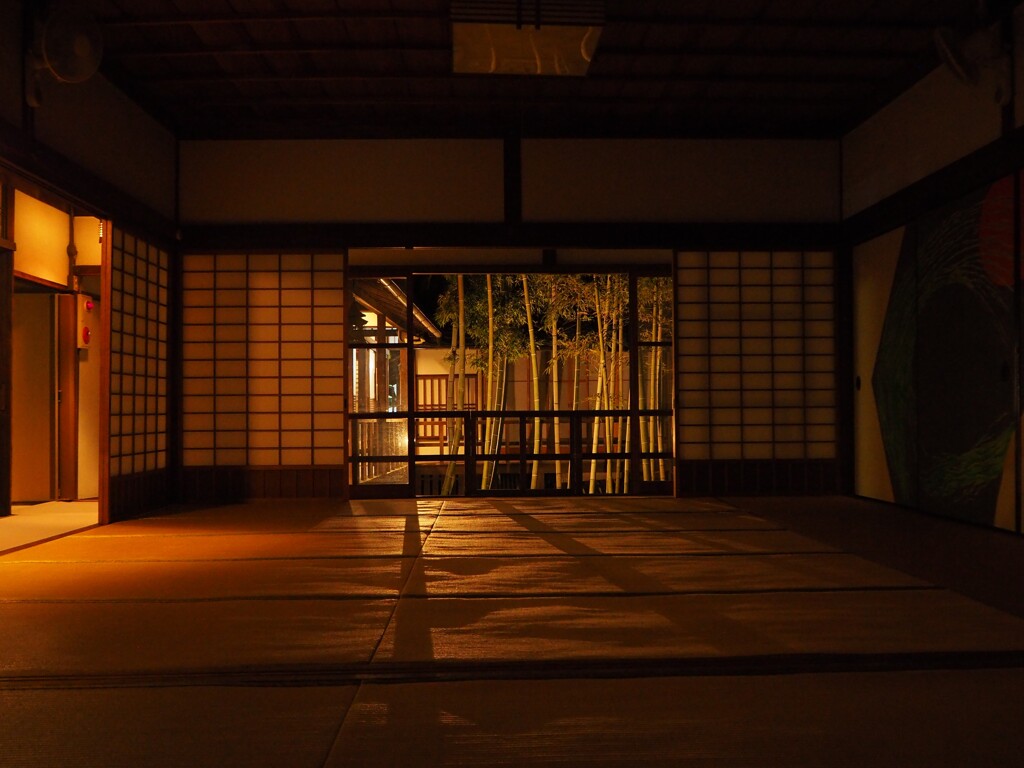 竹景色の夜