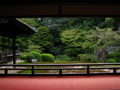 随心院