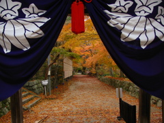 紅葉と参道