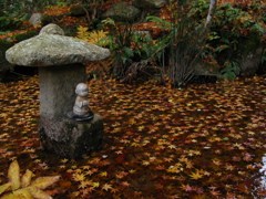 水面に散り紅葉