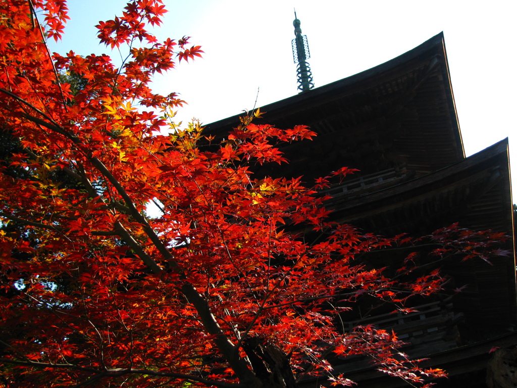 徳源院