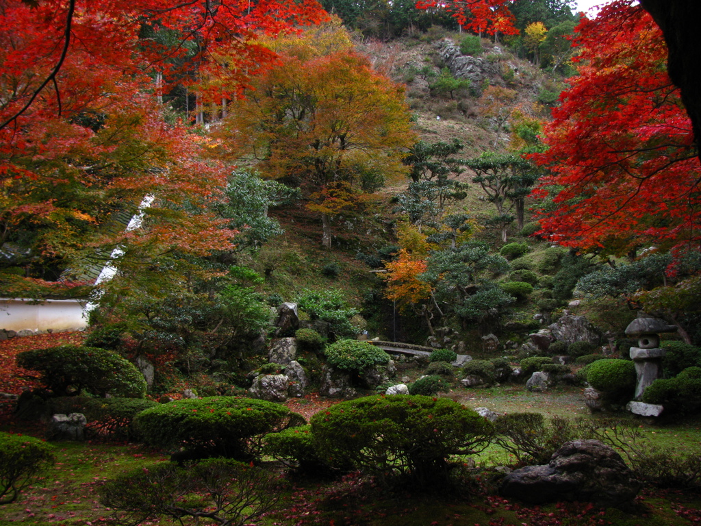 2011　徳源院の紅葉