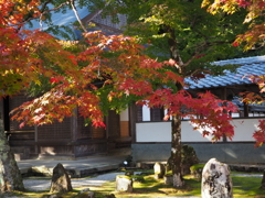 日和よし
