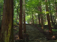 静寂、金堂道　