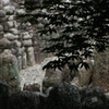 化野