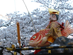 鯛釣ったぞ～
