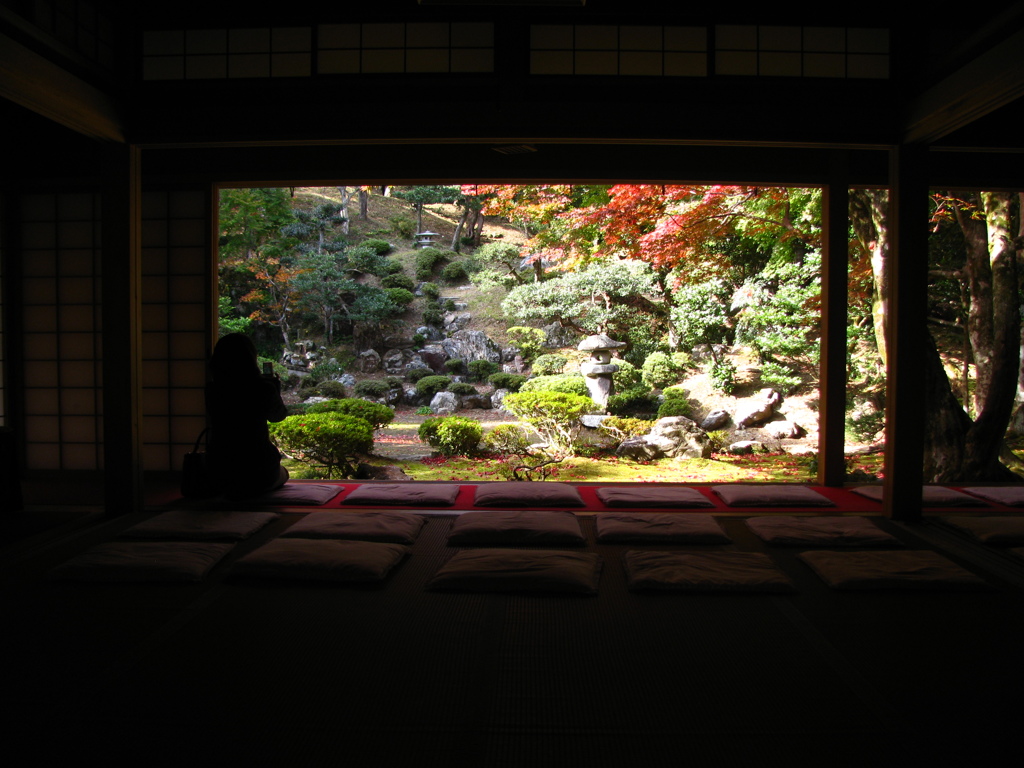 遠慮がちですね・・・