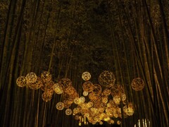 久方振り、夜灯り