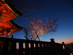 清水 夕景