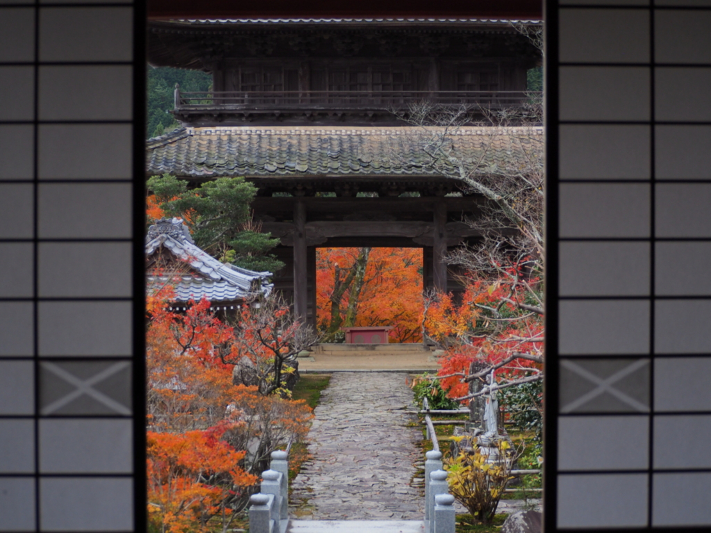 初冬、紅葉を楽しむ