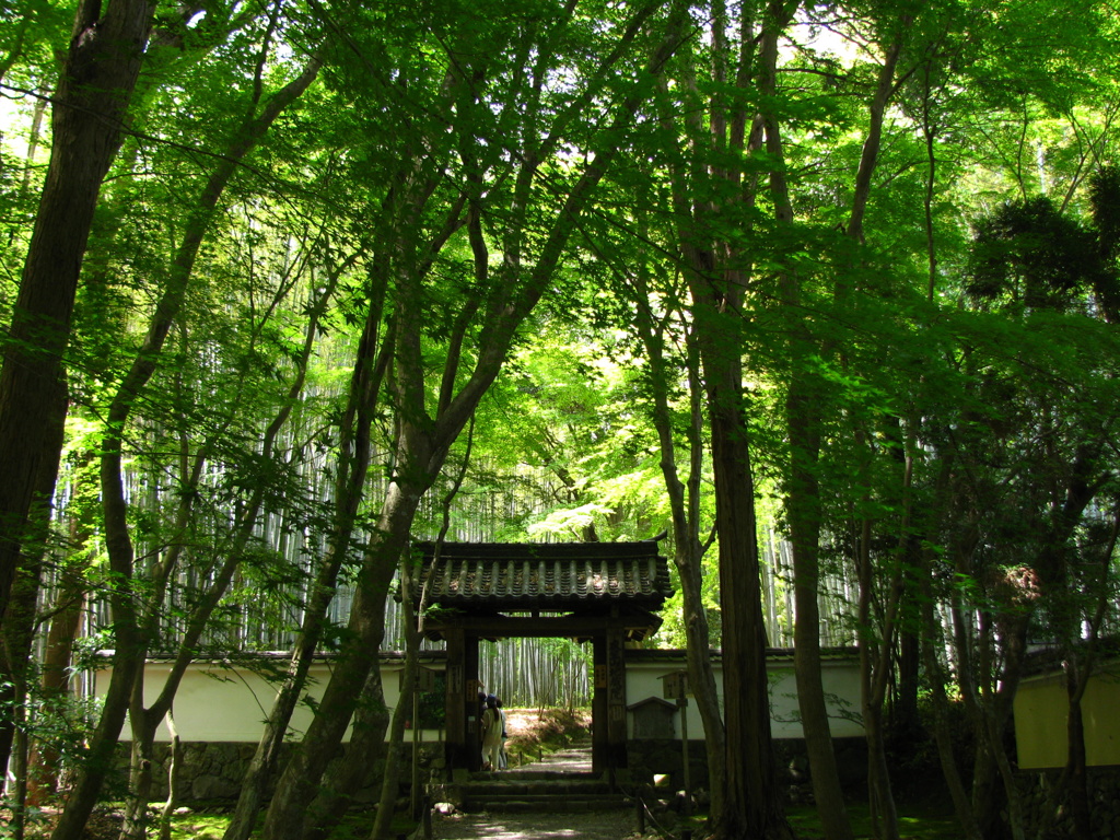 地蔵院