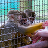 20131018_131631_K-5