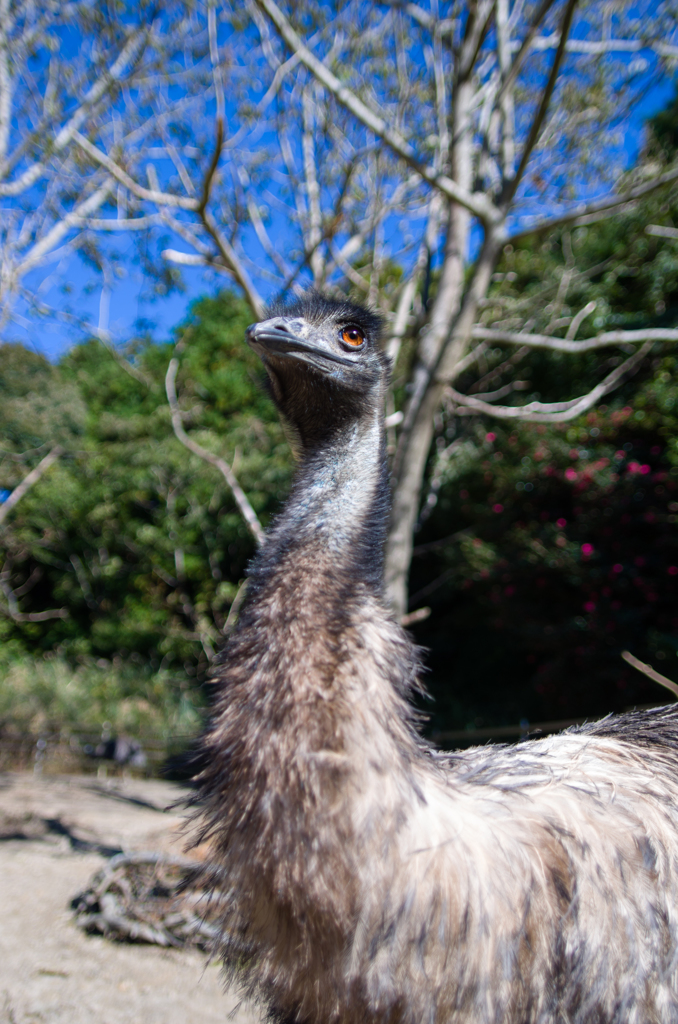 20131113_135546_K-5