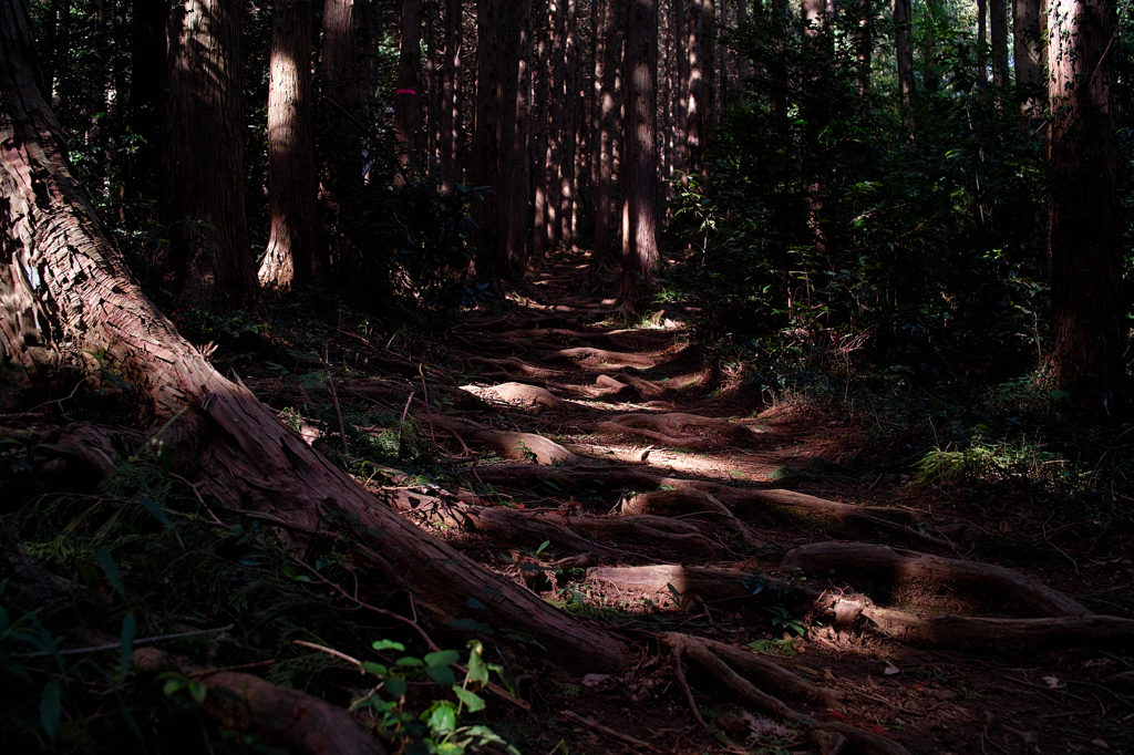 山道