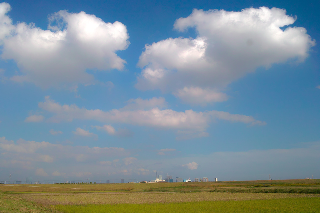 雲