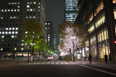 丸の内イルミネーション2