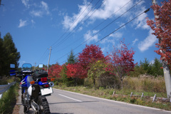 2011ちょっと紅葉