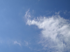 今日は明るい