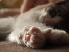 休むことが仕事