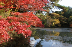 秋の風景 〜其の一〜