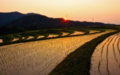 夕景の棚田