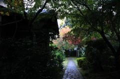 IMG_1821　善法律寺