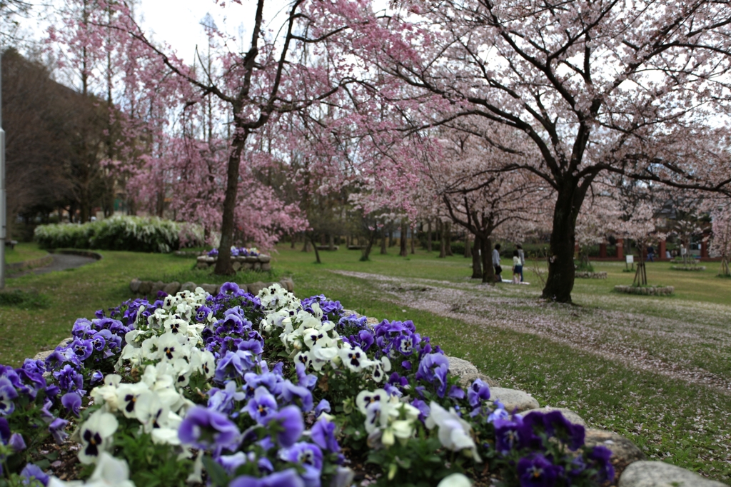 東公園