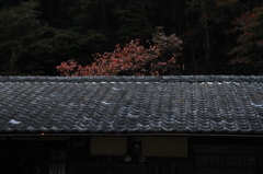 2011-11-03 峰定寺 (3)