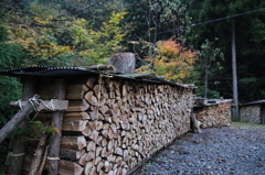 2011-11-03 峰定寺 (2)